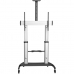 Soporte TV Startech STNDMTV100 60