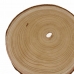 Tronco Decorativo Castanho 30 x 2 x 30 cm (12 Unidades)