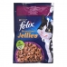 Cibo per gatti Purina Felix Sensations Anatra Spinaci 85 g