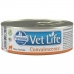 Mâncare pentru pisici Farmina Vet Life Diet Convalescence Pui 85 g