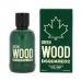 Vyrų kvepalai Dsquared2 EDT Green Wood 100 ml