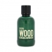 Vyrų kvepalai Dsquared2 EDT Green Wood 100 ml