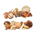 Decorative Potpourri Balta Ruda Raudona 14 x 30,5 x 14 cm (6 vnt.)