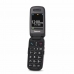 Mobile phone Panasonic KX-TU446EXG 2.4