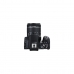 Spejlreflekskamera Canon EOS 250D + EF-S 18-55mm f/4-5.6 IS STM