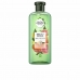 Shampoo Herbal Bio Renew Shine Grapefrugt 400 ml
