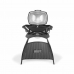 Barbekiu Weber Q 2400