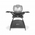 Barbekiu Weber Q 2400