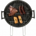 Barbecue Livoo Metallo