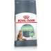 Kattenvoer Royal Canin Digestive Care Vis Volwassen Plantaardig Vogels 4 Kg