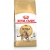 Aliments pour chat Royal Canin Bengal Adult Adulte Légumes Oiseaux 10 kg