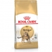 Mâncare pentru pisici Royal Canin Bengal Adult Adult Vegetal Păsări 10 kg