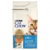 Kattenvoer Purina Cat Chow Volwassen Pauw 1,5 Kg