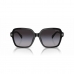 Ladies' Sunglasses Ralph Lauren RA 5304U