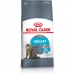 Γατοτροφή Royal Canin Urinary Care Ενηλίκων Πουλιά 4 κιλά