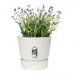 Bloempot Elho 0464344715000 Wit Cirkelvormig