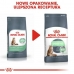 Γατοτροφή Royal Canin Digestive Care Ψάρια Ενηλίκων Λαχανικό Πουλιά 400 g