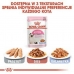 Cibo per gatti Royal Canin Kitten Jelly Pollo 85 g