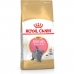 Cat food Royal Canin British Shorthair Kitten Chicken Rice Vegetable Birds 2 Kg