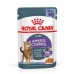 Jídlo pro kočku Royal Canin APPETITE CONTROL 12 x 85 g