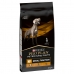 Nutreț Purina Renal Adult Carne Păsări 12 kg