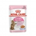 Kattemad Royal Canin Sterilised Gala Kylling 12 x 85 g