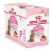 Cibo per gatti Royal Canin Sterilised Gravy Pollo 12 x 85 g