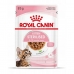 Jídlo pro kočku Royal Canin Sterilised Gravy Kuře 12 x 85 g