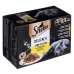 Kattenvoer Sheba Delicacy in Jelly Kip Pauw Eend Vogels 100 g