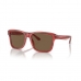 Solbriller til mænd Emporio Armani EA 4208