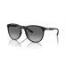 Men's Sunglasses Emporio Armani EA 4210