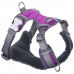 Arnés para Perro Red Dingo Dingo 25-36 cm 31-43 cm Morado XS