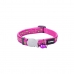 Collar para Perro Red Dingo STYLE STARS LIME ON HOT PINK 31-47 cm