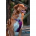 Imbracatura per Cani Red Dingo Dingo 30-47 cm 37-52 cm Viola S