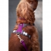 Imbracatura per Cani Red Dingo Dingo 30-47 cm 37-52 cm Viola S