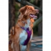 Imbracatura per Cani Red Dingo Dingo 62-108 cm 72-112 cm Viola XL