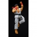 Figur mit Gelenken Jada Street Fighters - RYU 15 cm