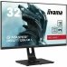 Monitors Iiyama 31,5