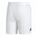 Miesten urheilushortsit Adidas Club Stetch Valkoinen