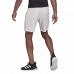 Calções de Desporto para Homem Adidas Club Stetch Branco