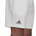 Miesten urheilushortsit Adidas Club Stetch Valkoinen