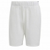 Sportsshorts for menn Adidas Club Stetch Hvit