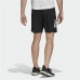 Herren-Sportshorts Adidas T365  Schwarz