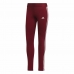 Ilgos sportinės kelnės Adidas Loungewear Bordo Moteris