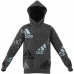 Bluza z kapturem Unisex Adidas Performance Ciemny szary