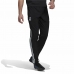 Pantalón de Entrenamiento de Fútbol para Adultos Adidas Condivo Real Madrid 22 Negro Hombre