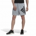 Herren-Sportshorts Adidas Big Badge Of Sport Grau 9