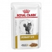 Hrana za mačke Royal Canin Feline Urinary S/O Morsels Meso 12 x 85 g