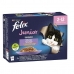 Mâncare pentru pisici Purina                                 Pui Somon Vițel 12 x 85 g