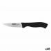 Coltello Spelucchino Quttin Kasual 19 x 1,7 x 1,5 cm (48 Unità)